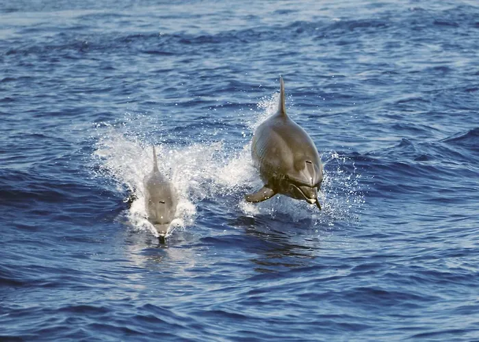 Il Grecale Διαμέρισμα Recco